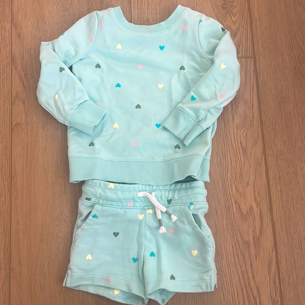Cat & Jack Girls Set 2T